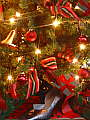 070-06 Wimborne Christmas Lights